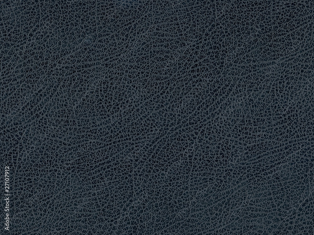 Embossed paper: Leather imitation. Artificial Leather. - obrazy, fototapety, plakaty 