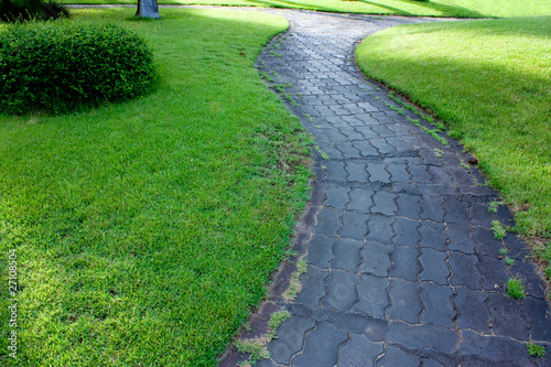 Concrete block path in green garden.