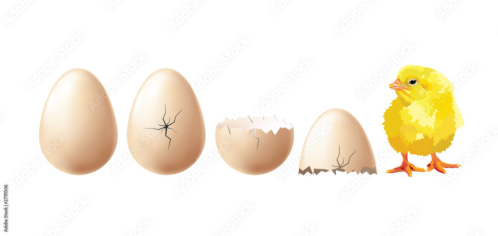 hatch