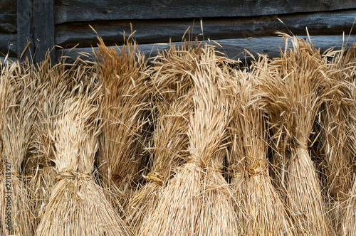 sheaves of wheat photo