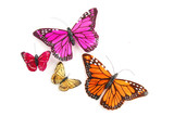 Four colorful butterflies