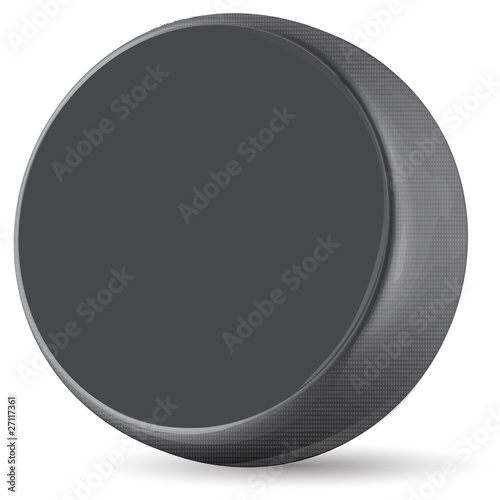 hockey puck