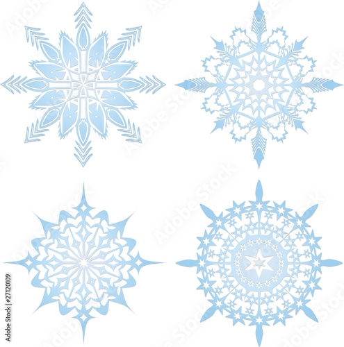 Cristallo di Neve-Crystal Snowflake-Vector