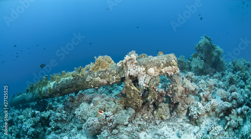Fototapeta Naklejka Na Ścianę i Meble -  Wrecked mast of the sunken Yolanda ship, an artificial reef.