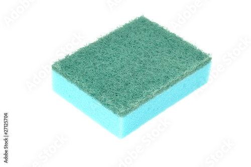 Dish sponge