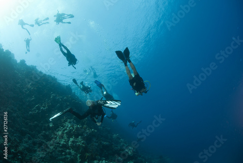 Scuba divers (silhouettes) exploring a tropical coral reef.