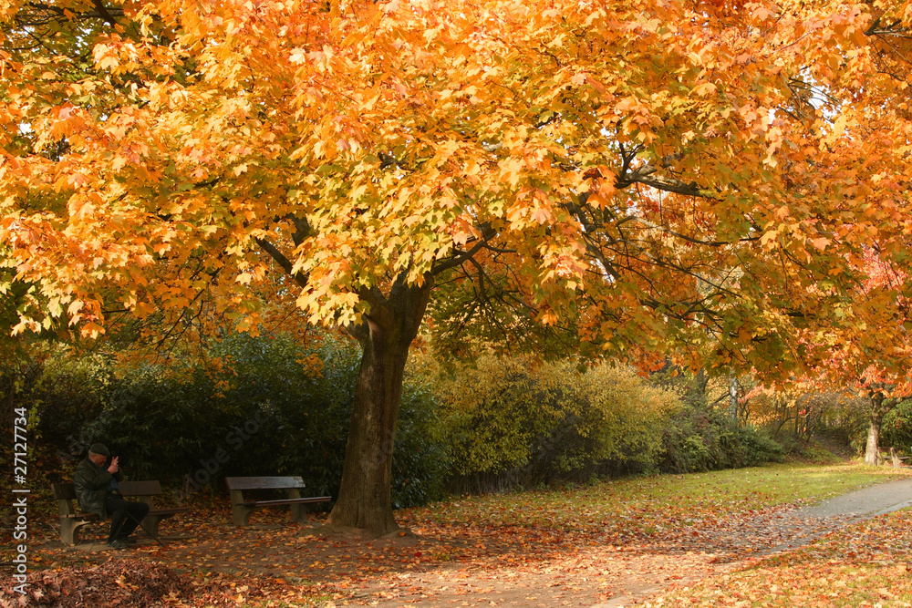 Naklejka premium Herbstlandschaft