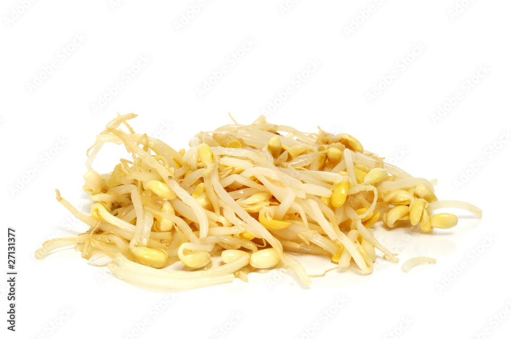 soybean sprouts soybean sprouts