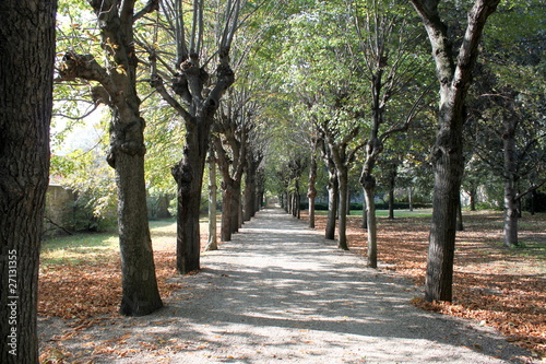 Allée dans le jardin de Picpus à Paris photo