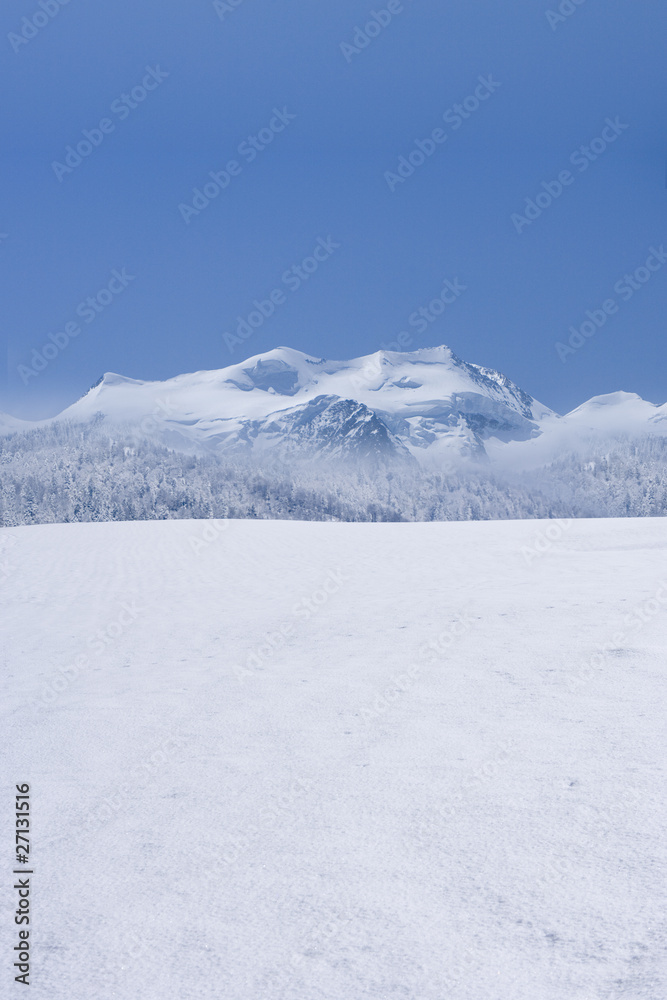 Fototapeta premium Winter