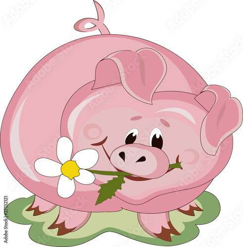 Piggy