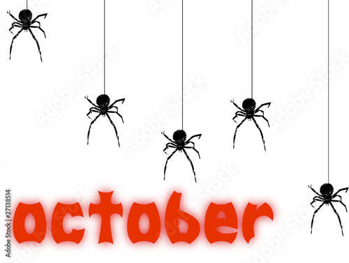 Spider october