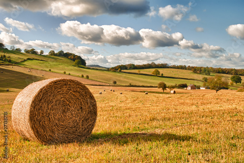 Perfect Harvest Landscape