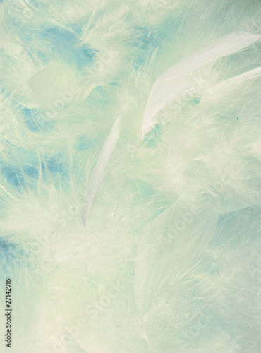 Background of fluffy cloud-like feathers © luceluceluce