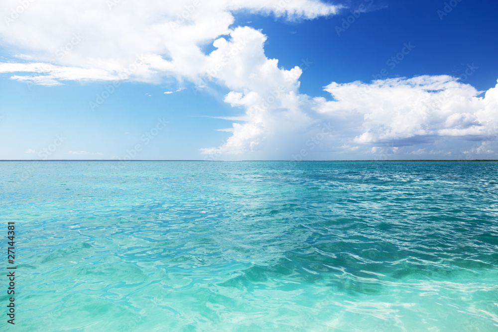 ocean and perfect sky