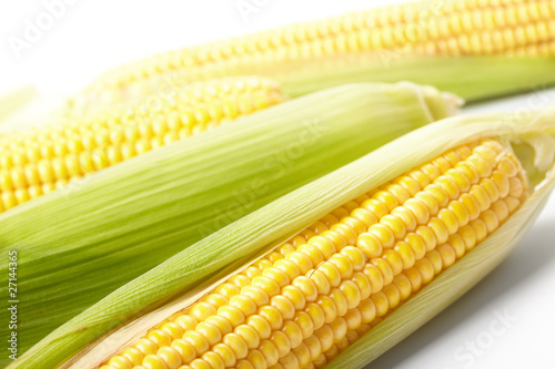 Fresh corn vegetable