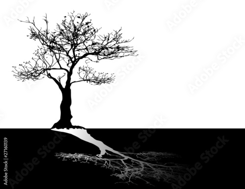black tree on white sky