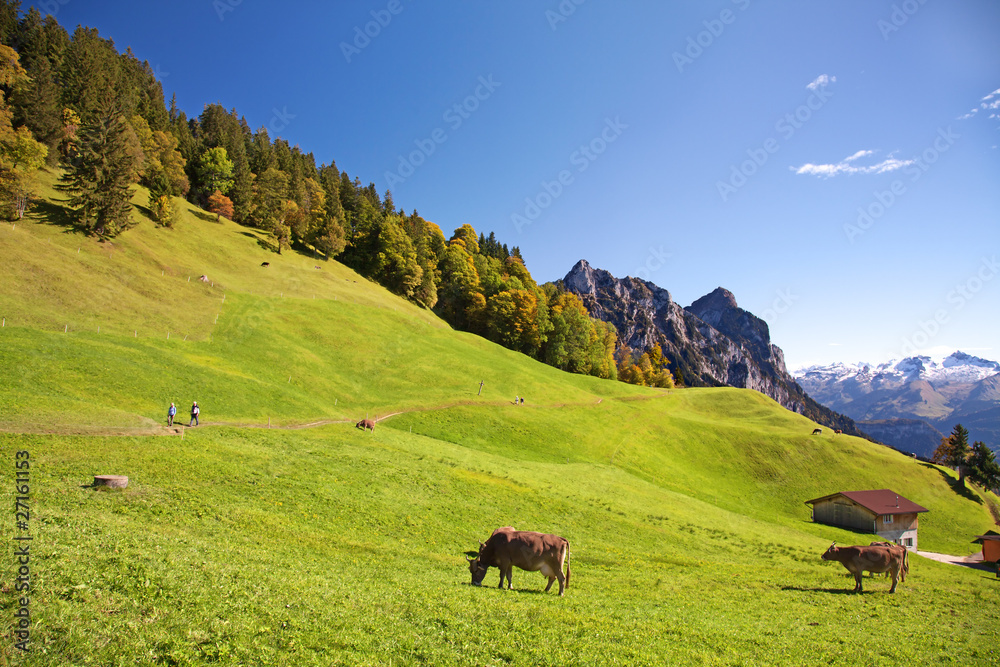 Autumn in alps