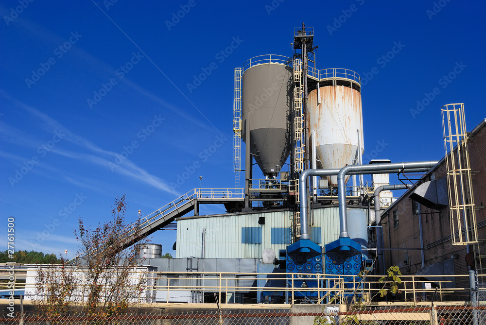 Obraz premium Rubber Plant
