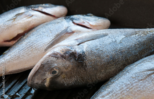 Fresh giltheads fish on grill photo