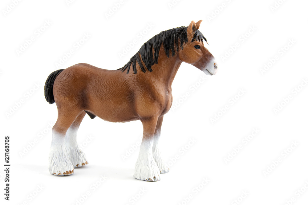 Obraz premium horse