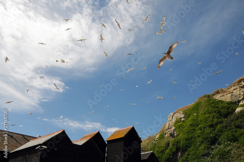 Seagulls flying around fishing huts, Hastings photo