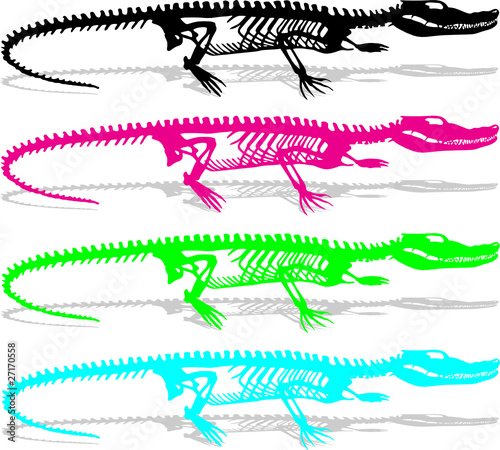 skeleton silhouette of a crocodile vector illustration