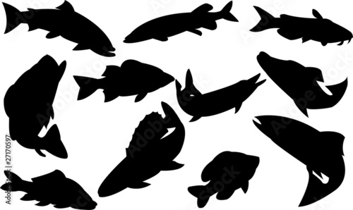 fishes collection - vector