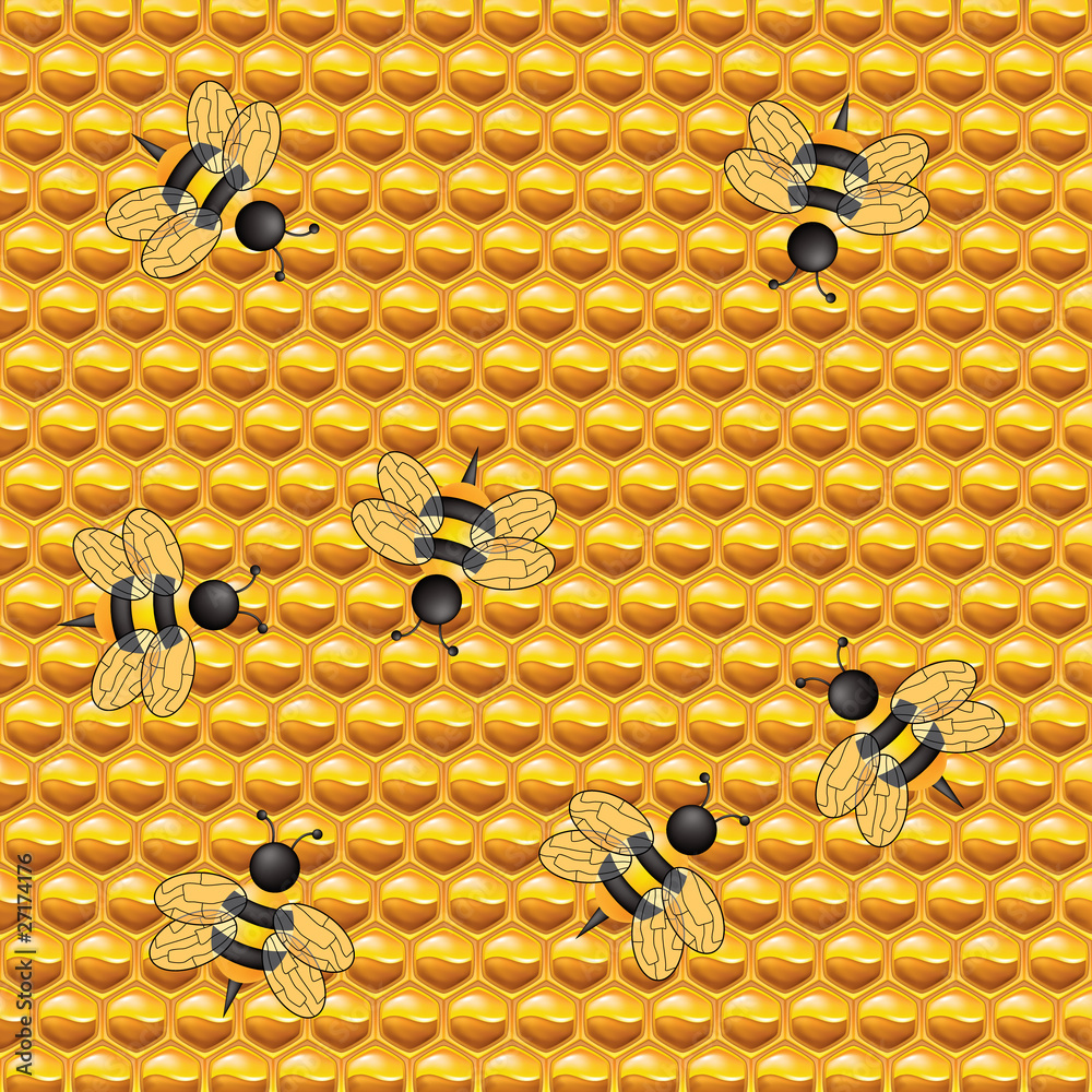 honeycomb with bees