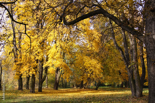 Herbstspaziergang