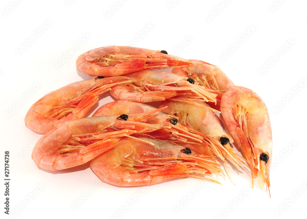 Prawns