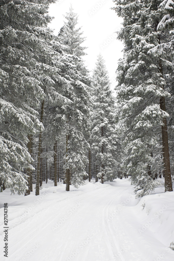 Fototapeta premium Winterlandschaft