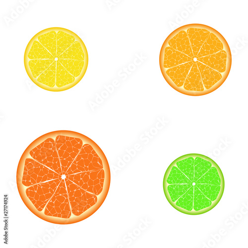 Different citrus slices (isolated elements for design)