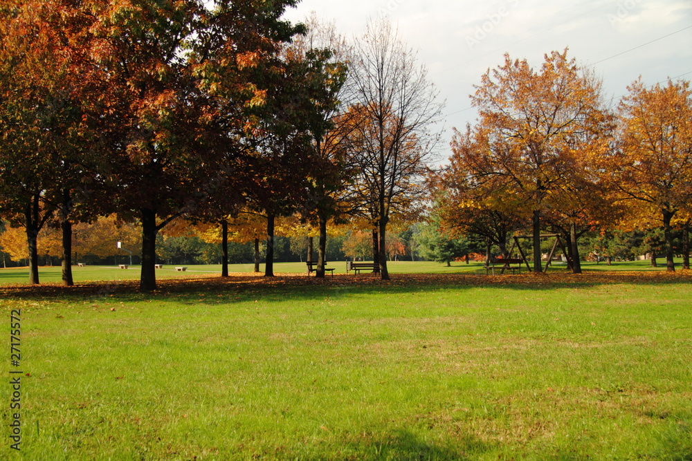 Naklejka premium View of trees in autumn,Lombardy