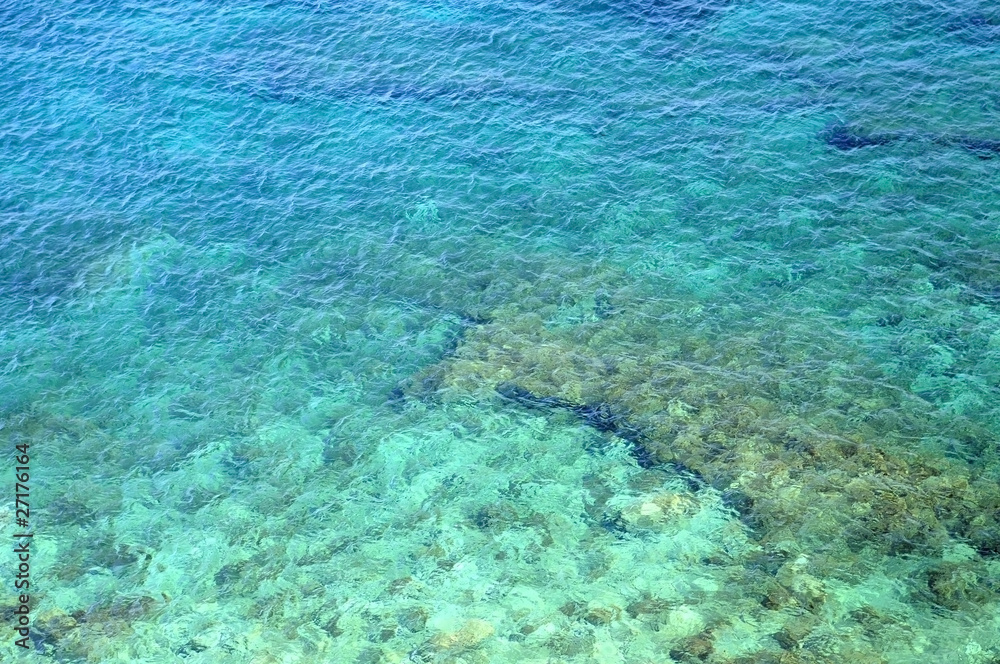Reef in the Clear Water