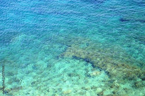 Reef in the Clear Water