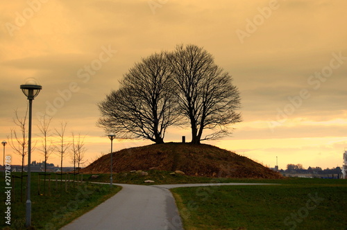 Big tree on the hill (Vikings grave)