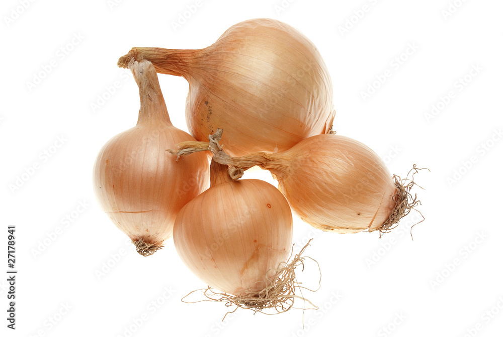 Fototapeta premium Four ripe onions