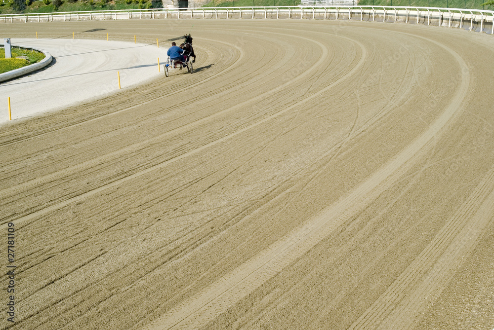 Horse at trotting race at hippodrome Horse at trotting race at hippodrome