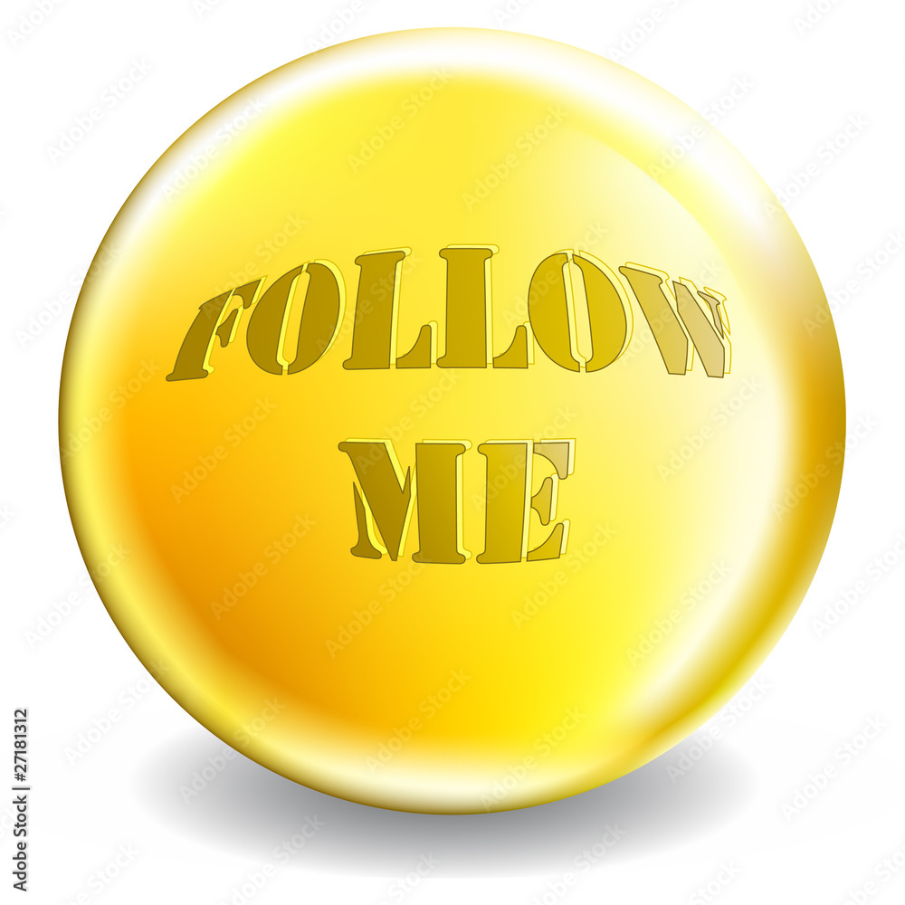Follow me button