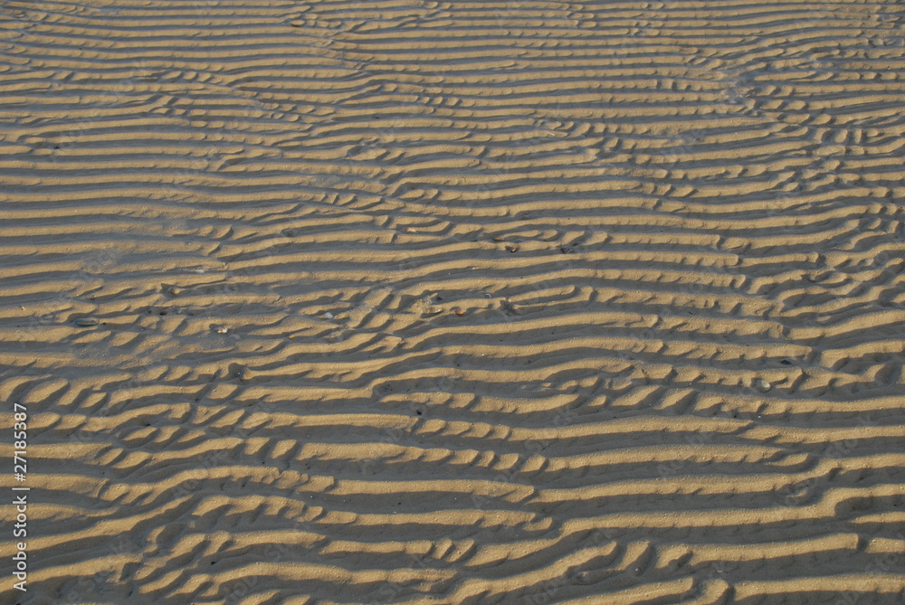 Obraz premium Strand bei Ebbe 10