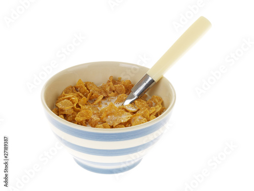 Fotografi Breakfast Cereal