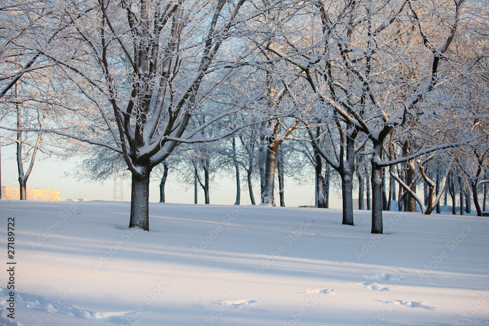 Winter Winter