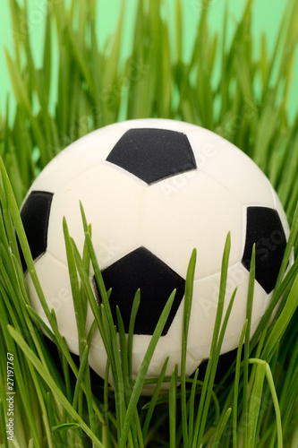 Ball and grass
