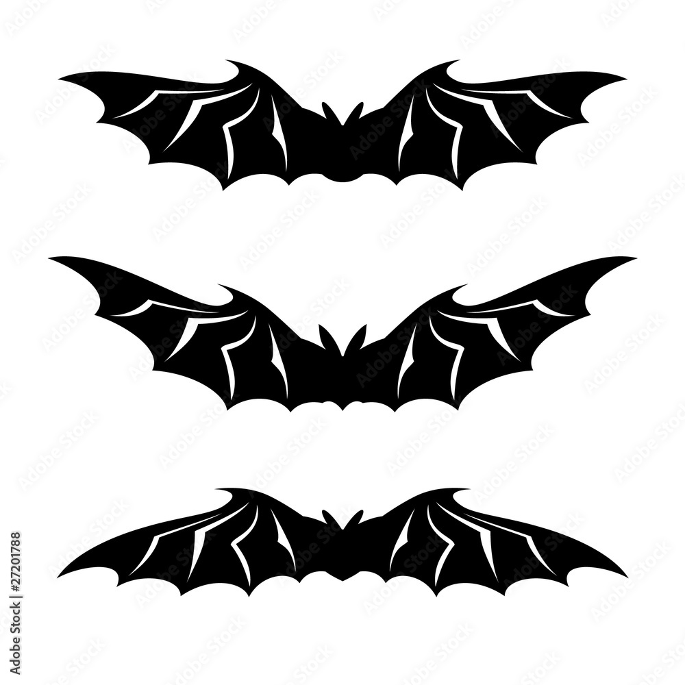 Fototapeta premium Bats illustration