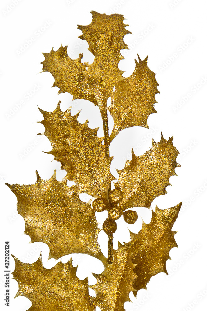 Fototapeta premium Christmas holly