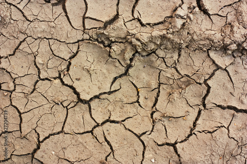 High Resolution Dry Soil Texture