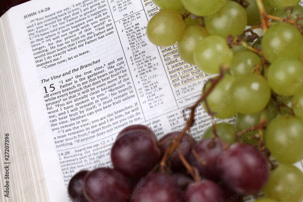 Obraz premium Holy Bible open to John 15 about Jesus being a Vine