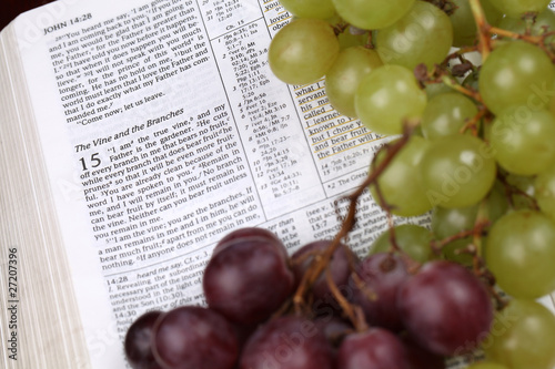 Holy Bible open to John 15 about Jesus being a Vine