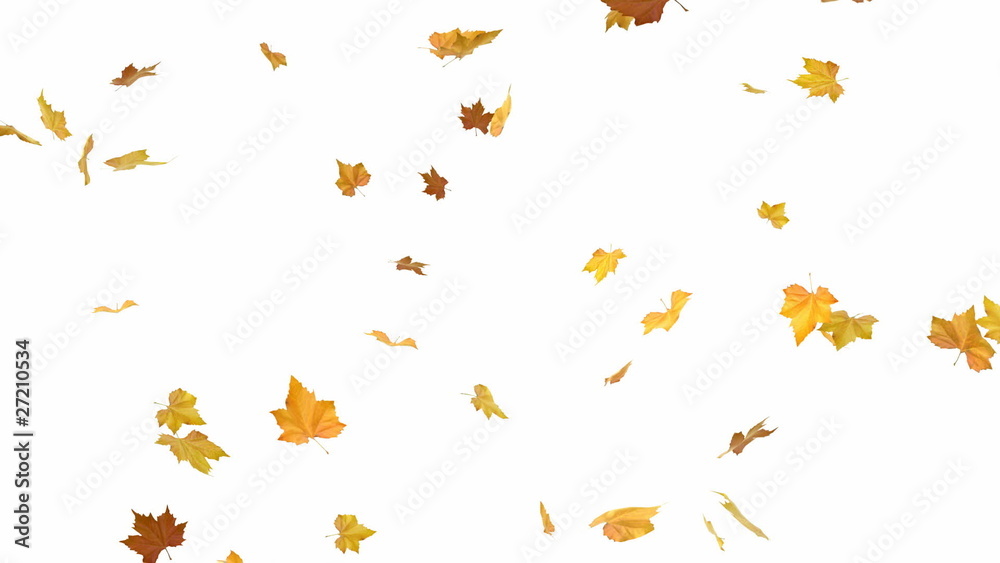 Falling autumn leaves backgrounds - isolated and loopable